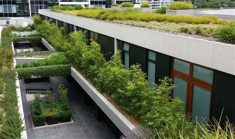 Green Roofing: A Guide to Choosing the Right Materials